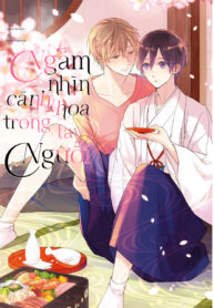 Ngắm nhìn cánh hoa trong tay Người